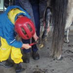 Ein Mädchen kratzt die Hufe eines Ponys aus.