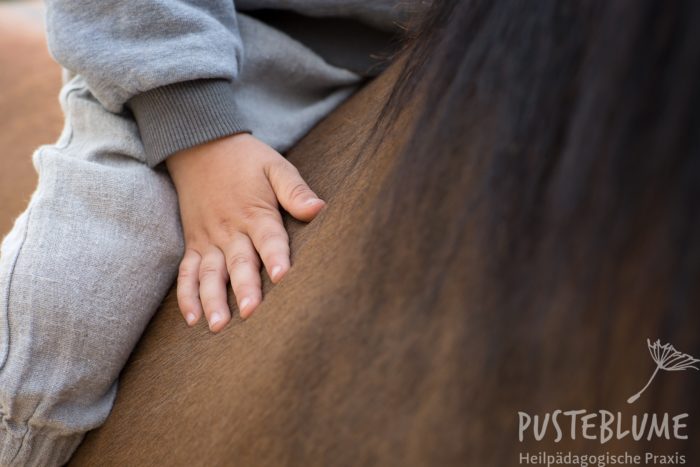 Kinderhand auf dem Pferderücken